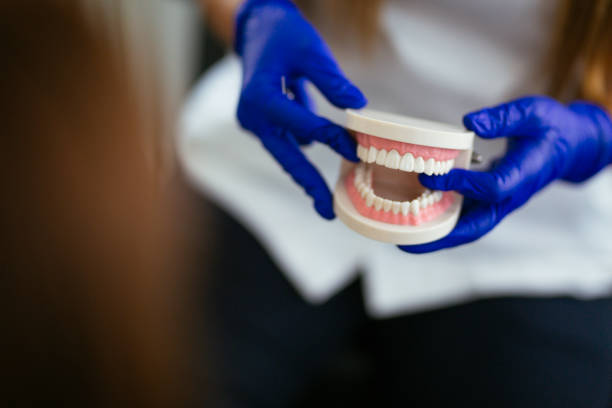 Best Preventive Dentistry  in Grove Hill, AL